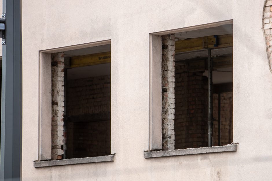 Buvusio Kraujo donorystės centro remontas kelia nerimą