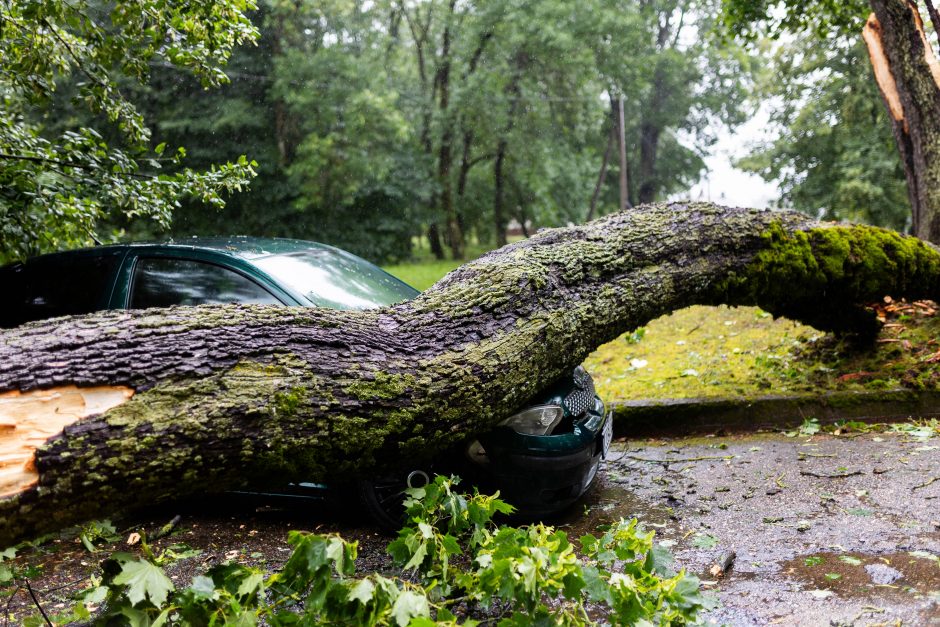 Draudikai: per tris dienas gauta pranešimų dar dėl beveik 2,5 mln. eurų audros nuostolių