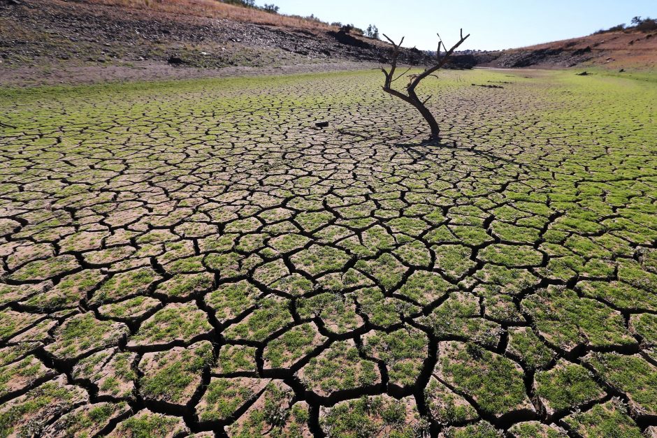 Pasaulyje sparčiai daugėja klimato sąlygotų gamtos katastrofų