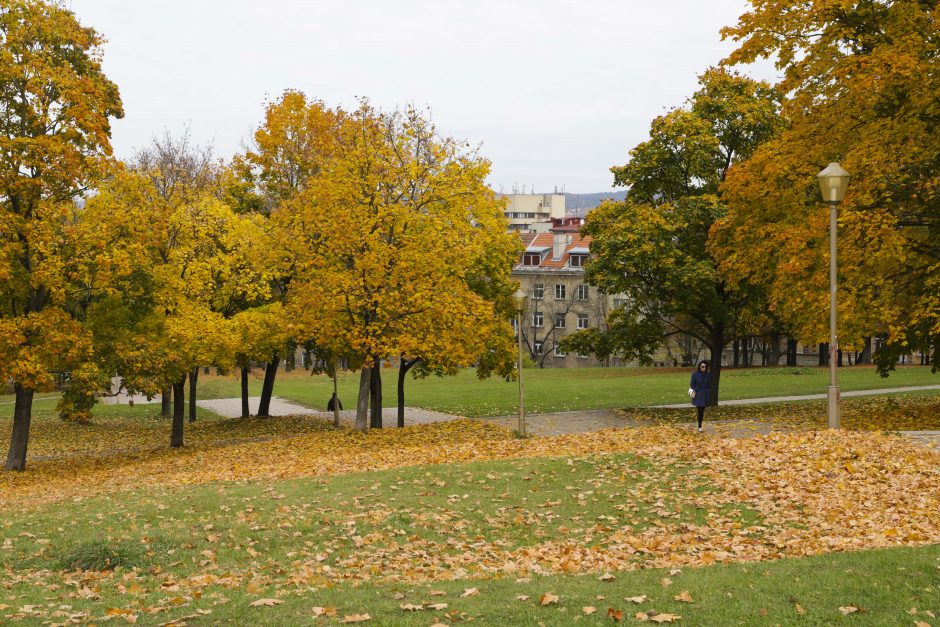 Spalis baigsis šiltais orais