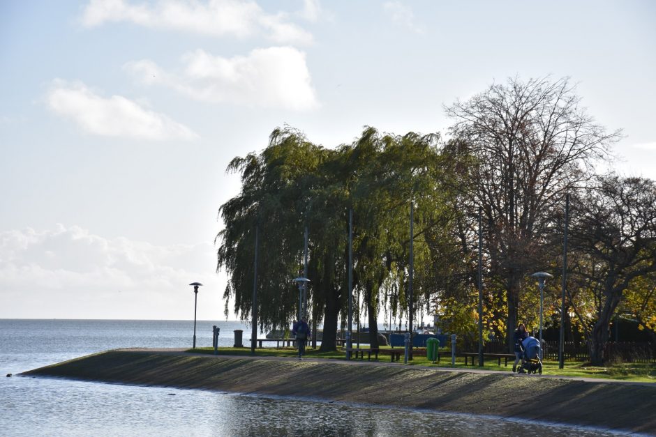 Neringa švenčia 586-ąją savo ištakų sukaktį 