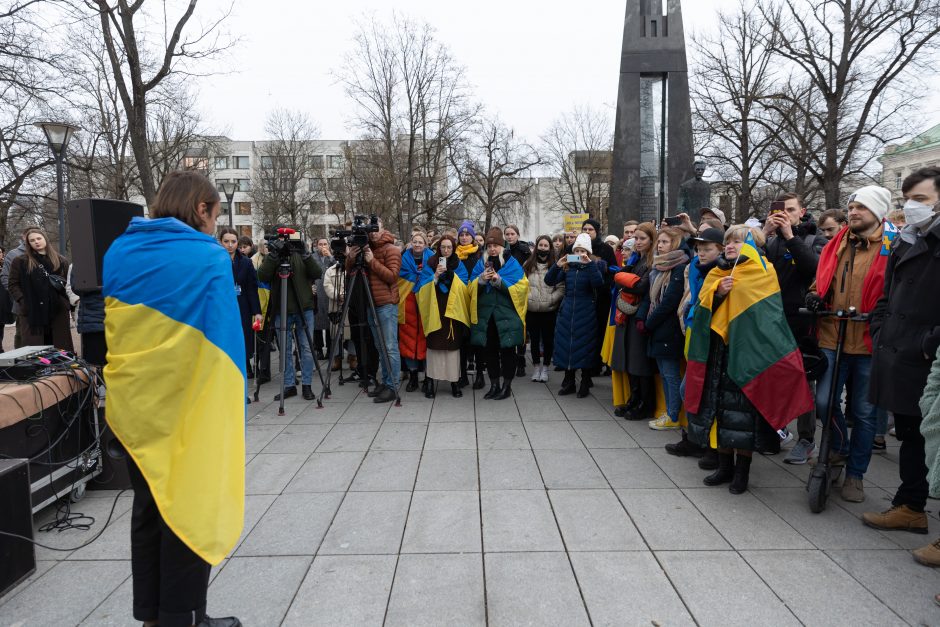 Prie Vyriausybės – mitingas palaikyti Ukrainą: raginama ekonomiškai neremti šalių agresorių