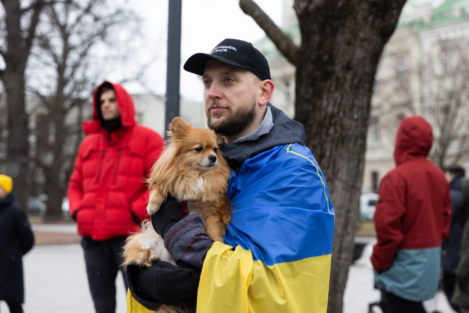 Prie Vyriausybės – mitingas palaikyti Ukrainą: raginama ekonomiškai neremti šalių agresorių