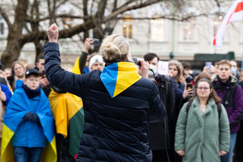 Prie Vyriausybės – mitingas palaikyti Ukrainą: raginama ekonomiškai neremti šalių agresorių