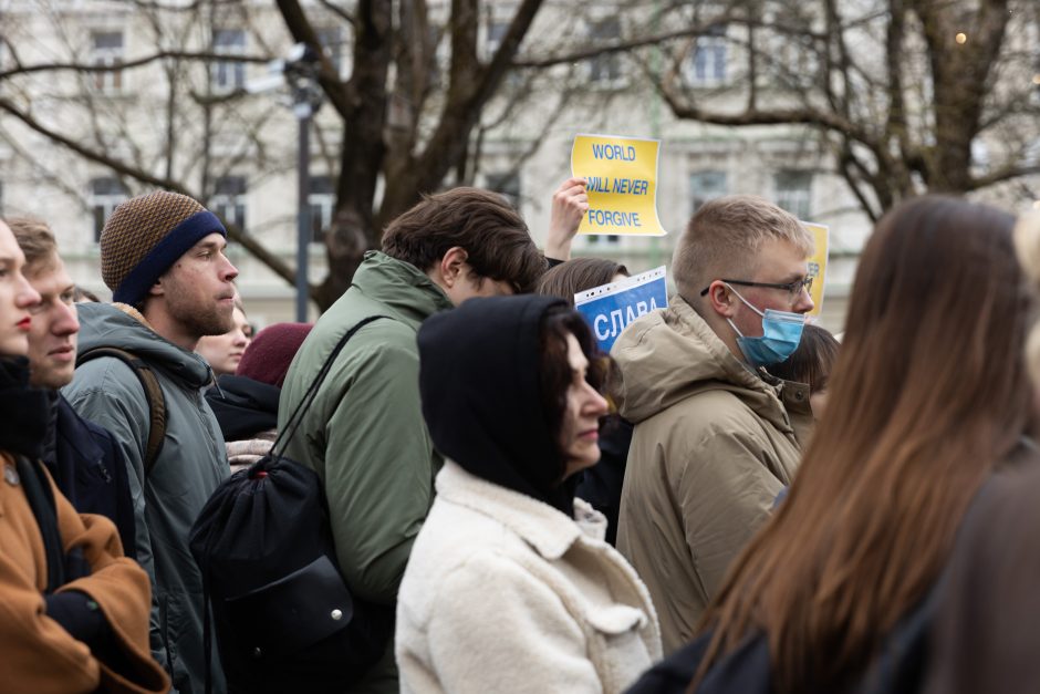 Prie Vyriausybės – mitingas palaikyti Ukrainą: raginama ekonomiškai neremti šalių agresorių