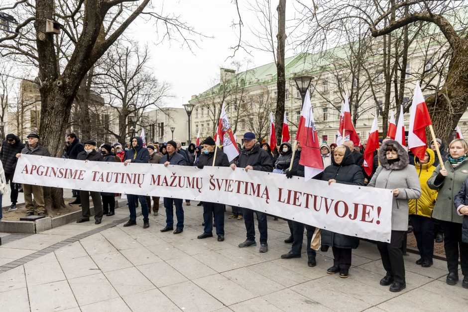 Dėl Trakų rajono švietimo įstaigų pertvarkos – protestas prie Vyriausybės 