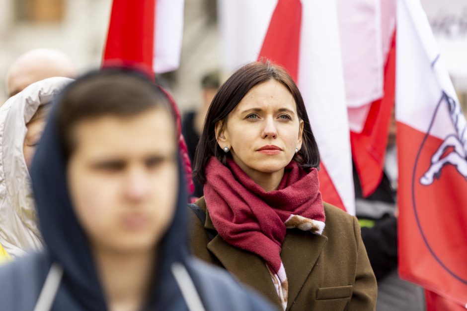 Dėl Trakų rajono švietimo įstaigų pertvarkos – protestas prie Vyriausybės 