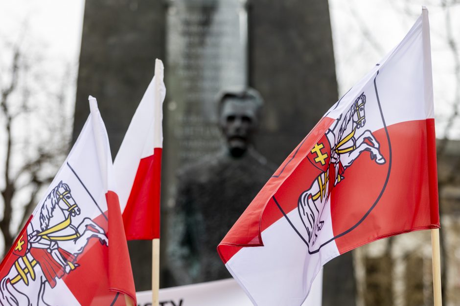 Dėl Trakų rajono švietimo įstaigų pertvarkos – protestas prie Vyriausybės 