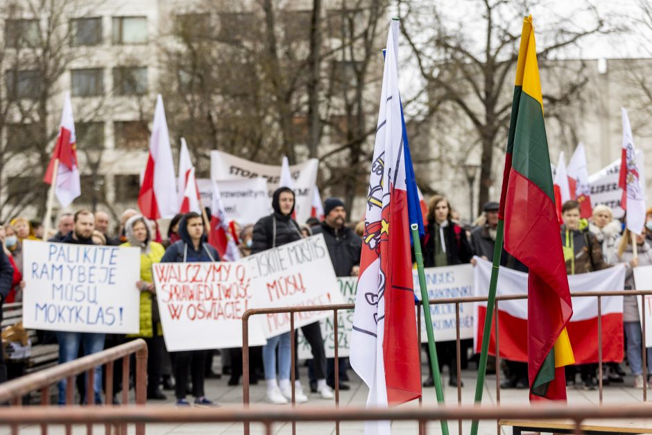 Dėl Trakų rajono švietimo įstaigų pertvarkos – protestas prie Vyriausybės 