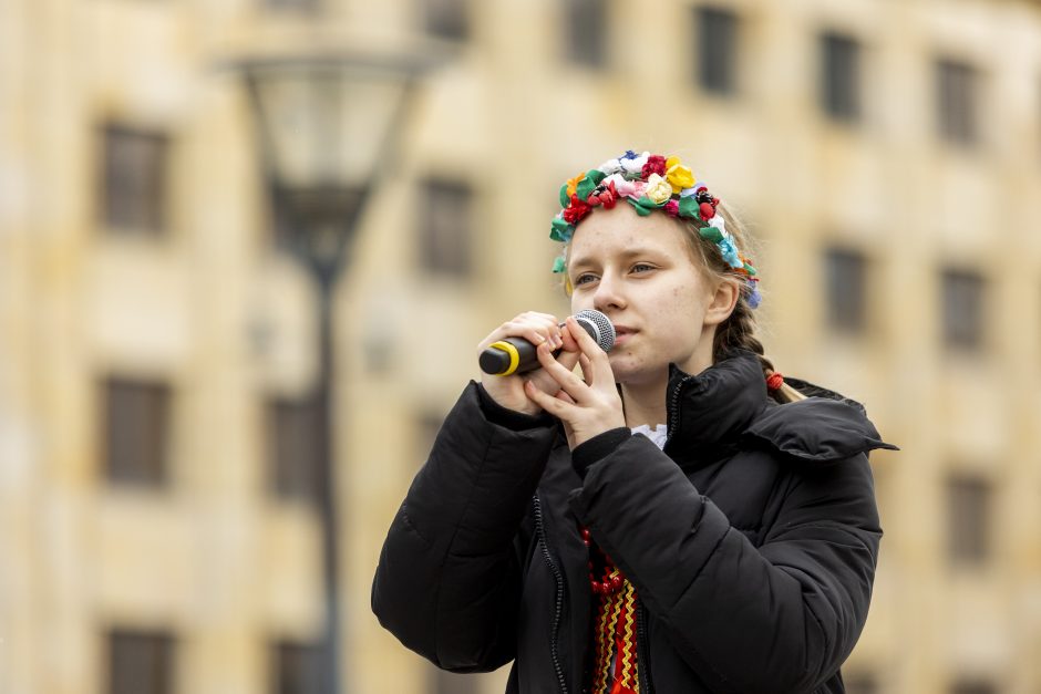 Dėl Trakų rajono švietimo įstaigų pertvarkos – protestas prie Vyriausybės 