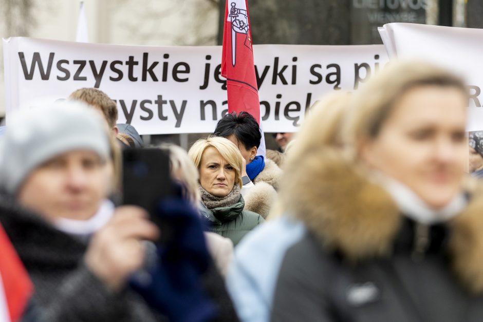 Dėl Trakų rajono švietimo įstaigų pertvarkos – protestas prie Vyriausybės 