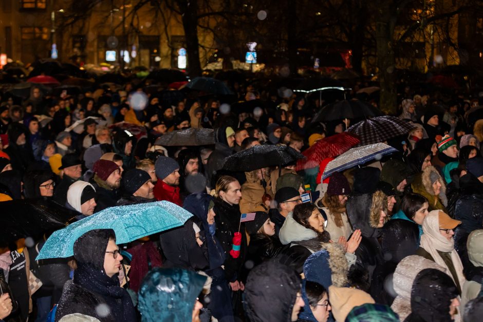 „Dešimt tylos minučių“ organizatoriai ketina rengti naują mitingą: neišgirdot pirmosios žinutės