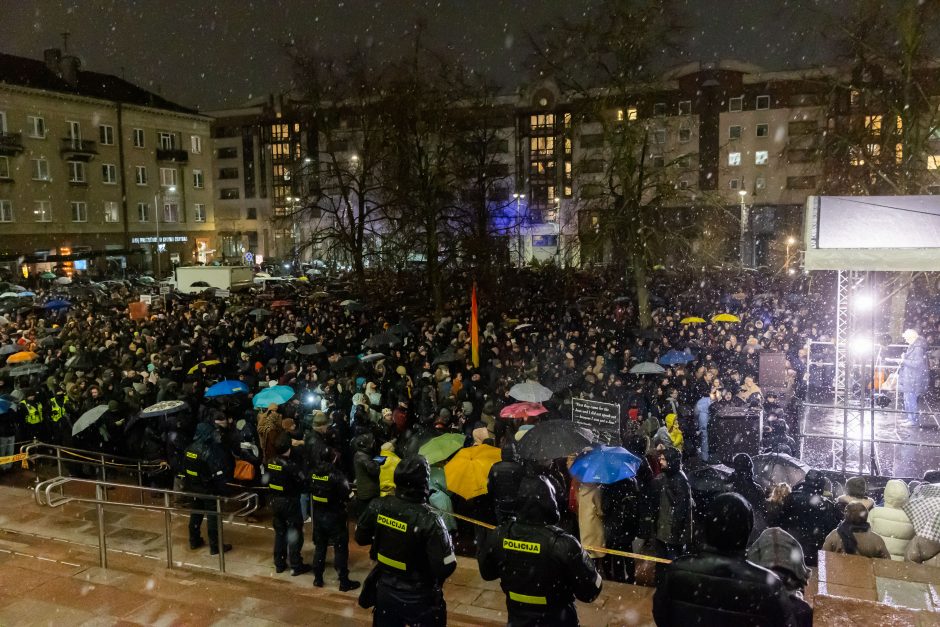 „Dešimt tylos minučių“ organizatoriai ketina rengti naują mitingą: neišgirdot pirmosios žinutės