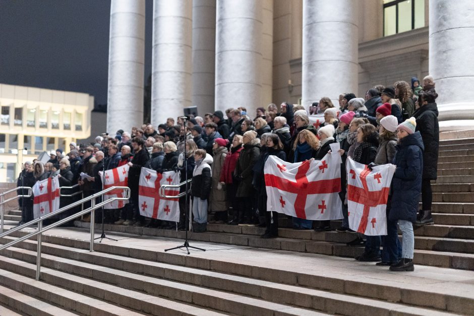 Protestuojančių kartvelų palaikymo akcija Vilniuje