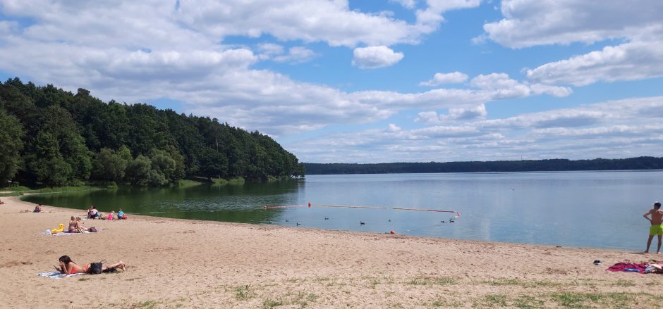 Neskubėkite ilsėtis prie Kauno marių: vanduo jau pažaliavo nuo dumblių