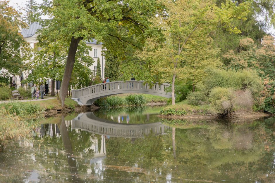 Piešiniai – ant žinomų moterų kūnų