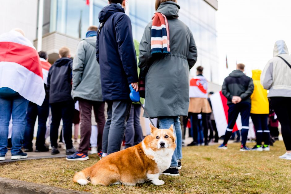 Baltarusijos opozicija Vilniuje minėjo Laisvės dieną 