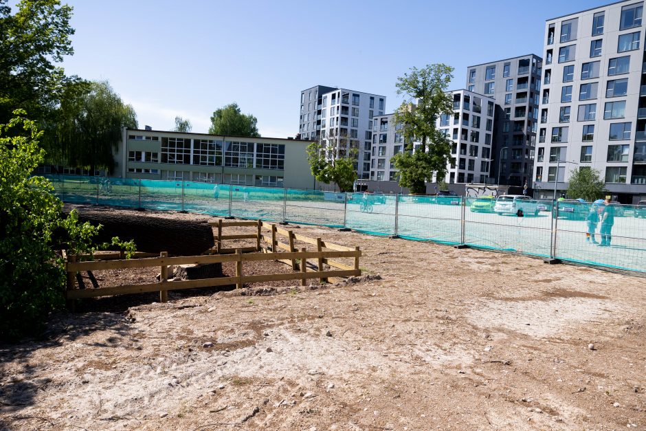 V. Benkunskas apie sostinės centre nukirstą šimtametį ąžuolą: tai vandalizmas ir nusikaltimas 