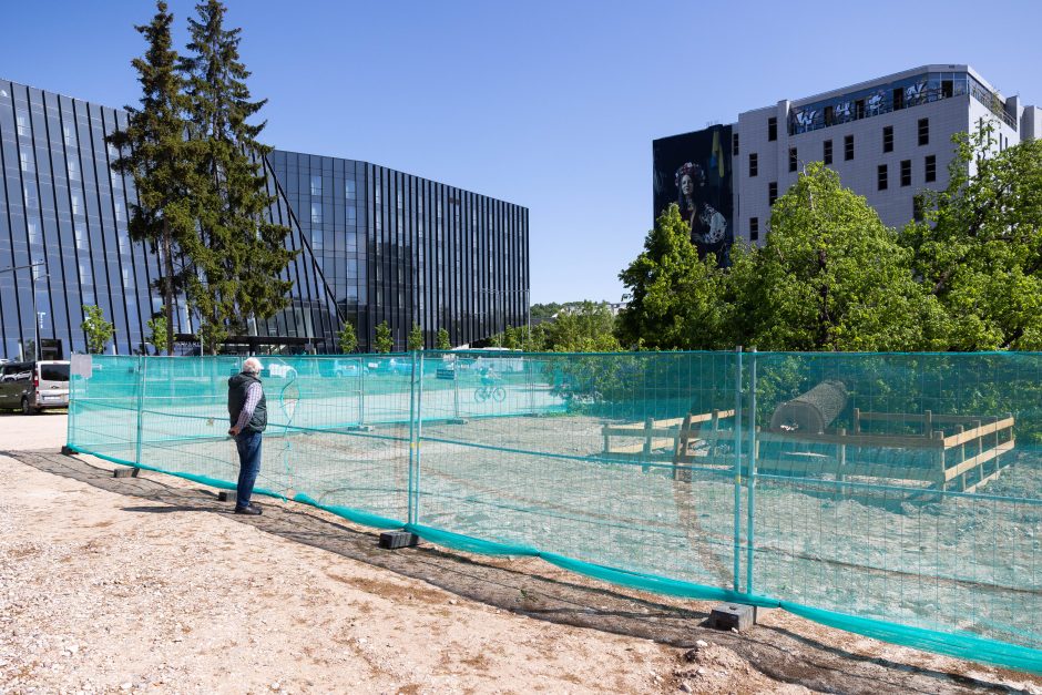 V. Benkunskas apie sostinės centre nukirstą šimtametį ąžuolą: tai vandalizmas ir nusikaltimas 