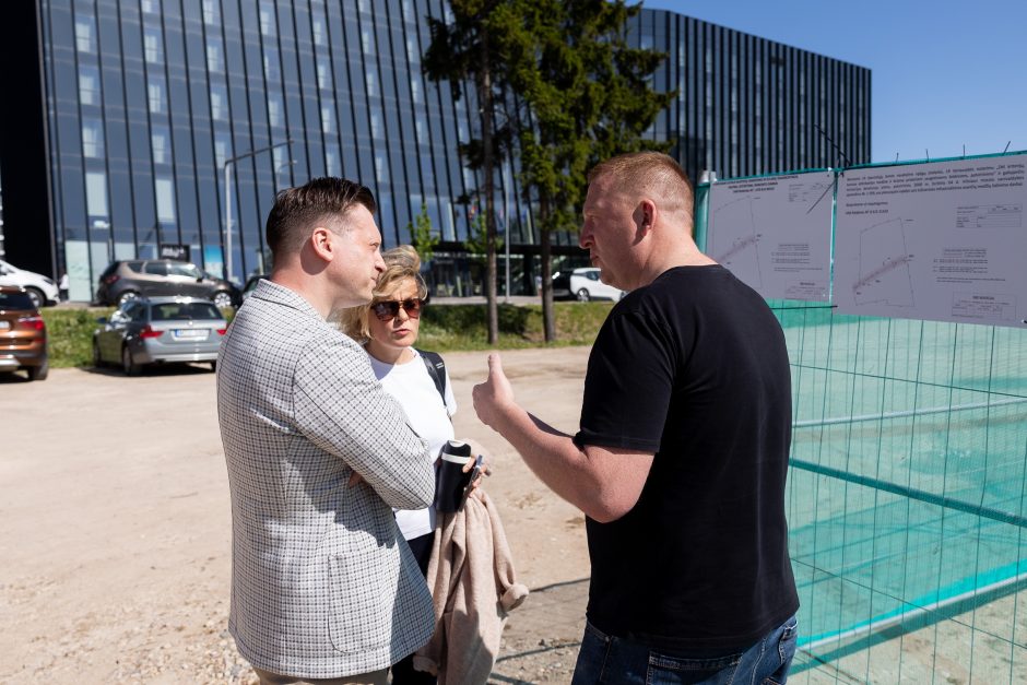 V. Benkunskas apie sostinės centre nukirstą šimtametį ąžuolą: tai vandalizmas ir nusikaltimas 