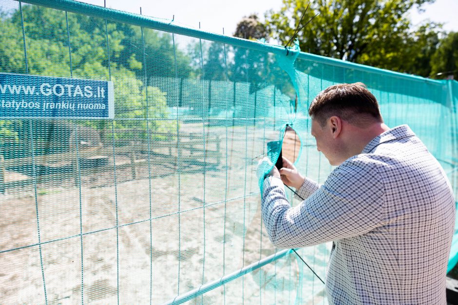 V. Benkunskas apie sostinės centre nukirstą šimtametį ąžuolą: tai vandalizmas ir nusikaltimas 