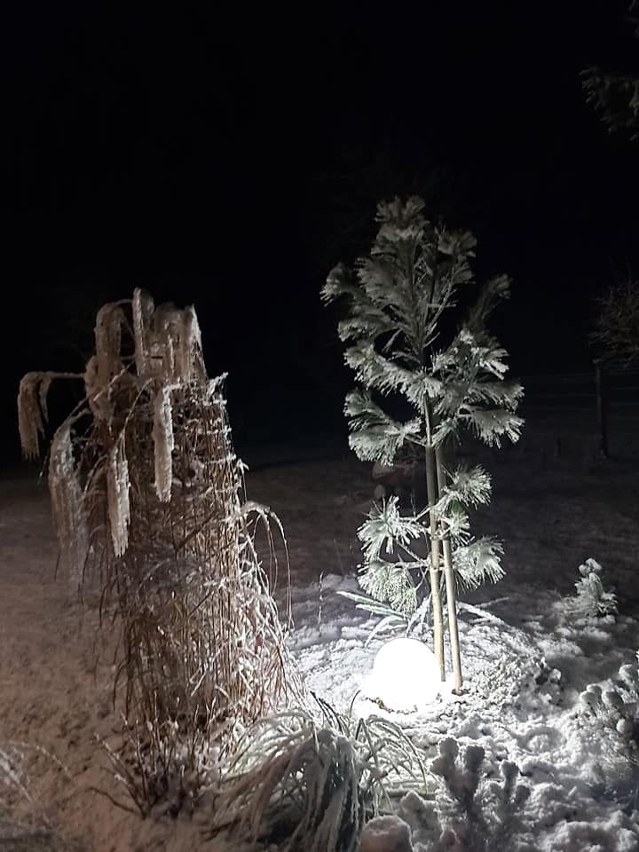  Vakarų Lietuvoje gyventojai džiaugėsi pirmuoju sniegu