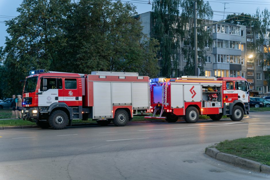 Dėl prisvilusio puodo į V. Krėvės prospektą atskubėjo ugniagesių, policijos, medikų ekipažai