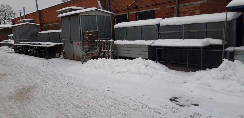 Dėl šalčių vaisių ir daržovių turgavietė ištuštėjo, tačiau du kioskai dirba 