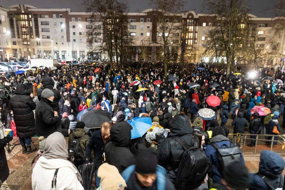 „Dešimt tylos minučių“ organizatoriai ketina rengti naują mitingą: neišgirdot pirmosios žinutės