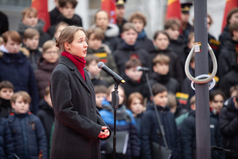 Vilnius mini 702-ąjį gimtadienį: sostinėje vyko tradicinė vėliavų pakėlimo ceremonija