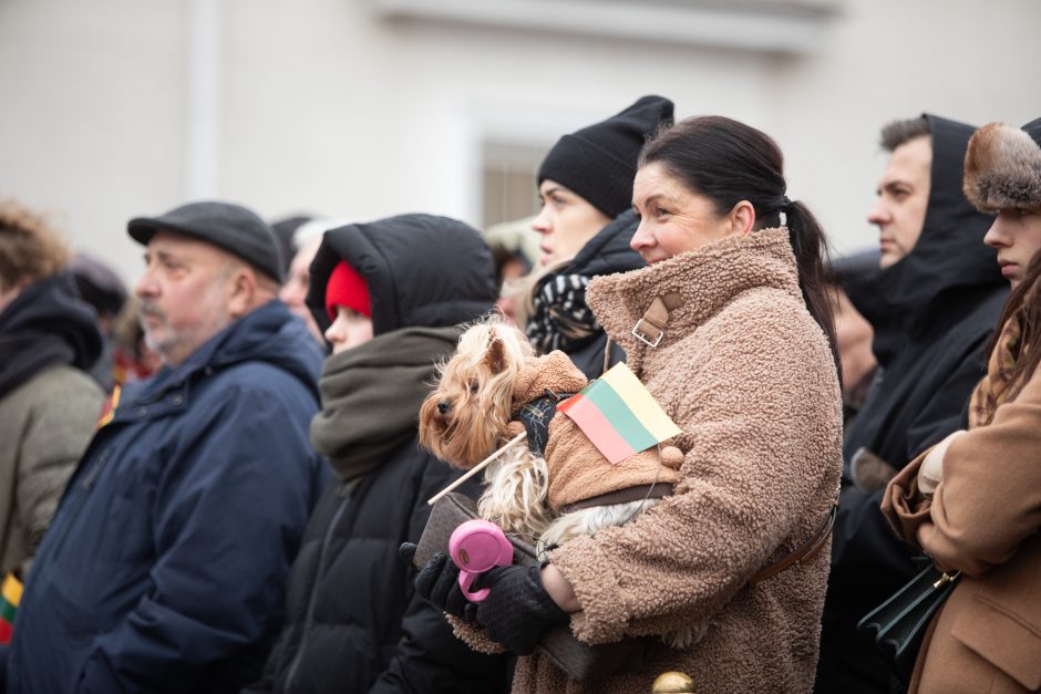 Vilnius mini 702-ąjį gimtadienį: sostinėje vyko tradicinė vėliavų pakėlimo ceremonija