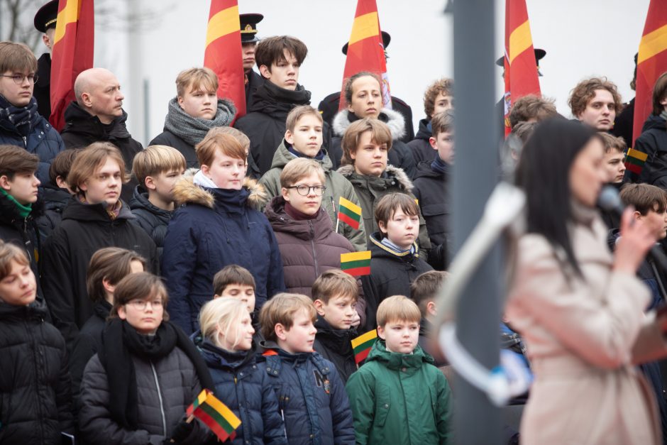 Vilnius mini 702-ąjį gimtadienį: sostinėje vyko tradicinė vėliavų pakėlimo ceremonija