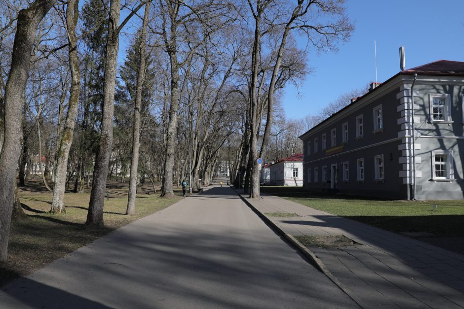 Sapiegų parko atgaivinimui balandžio pabaigoje bus skelbiamas architektūros konkursas