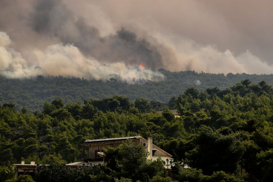 Pražūtingi gaisrai Graikijoje: nelaimės aukų padaugėjo iki 79