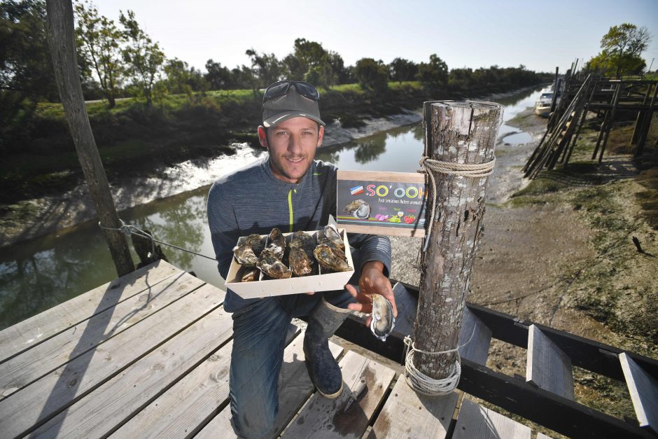 Prancūzas išrado būdą suteikti austrėms citrinos skonį