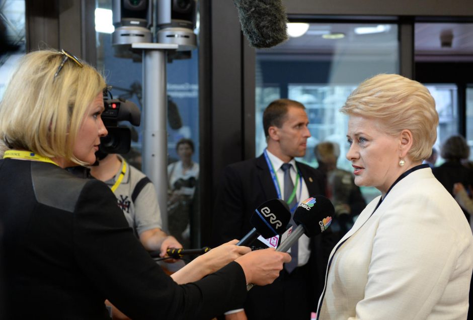 D. Grybauskaitė – už ginklų embargą Rusijai