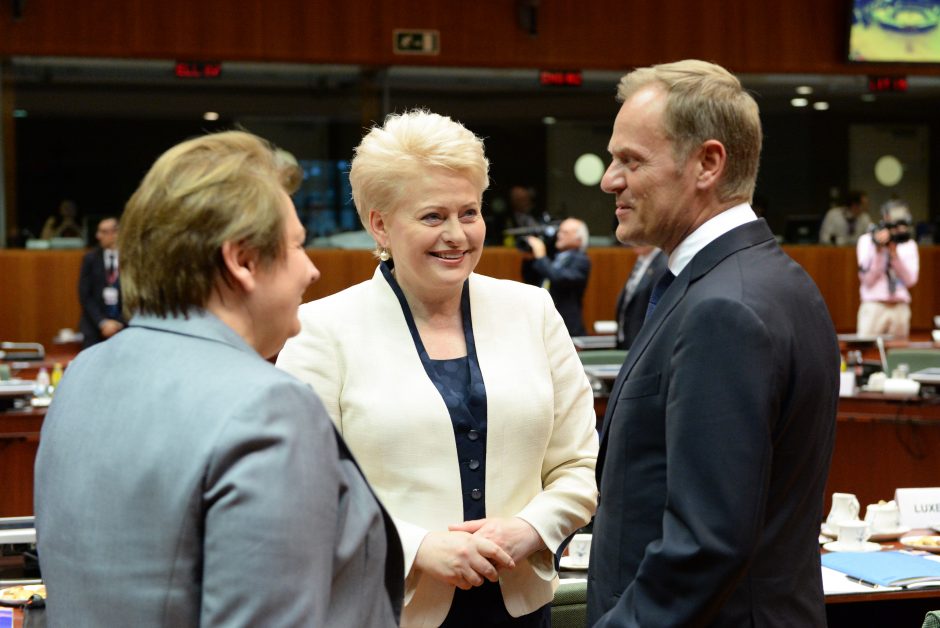 D. Grybauskaitė – už ginklų embargą Rusijai