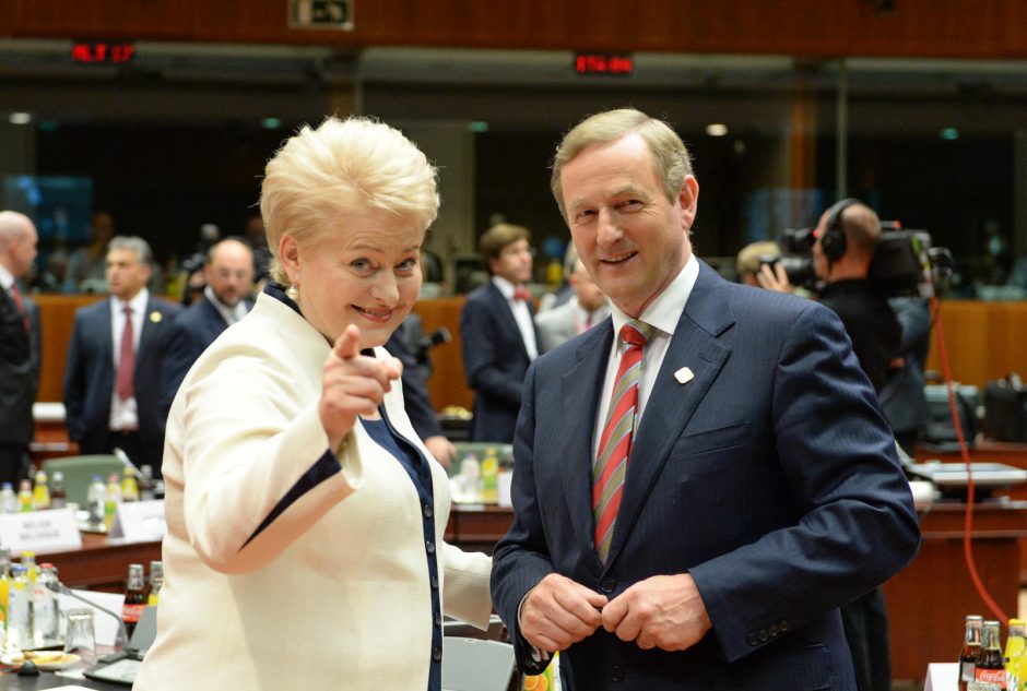 D. Grybauskaitė – už ginklų embargą Rusijai