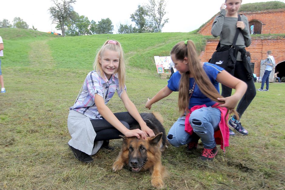 Mokslo festivalyje – rekordinis lankytojų skaičius