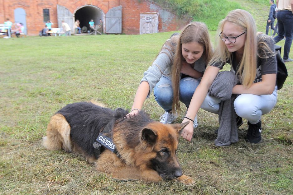 Mokslo festivalyje – rekordinis lankytojų skaičius