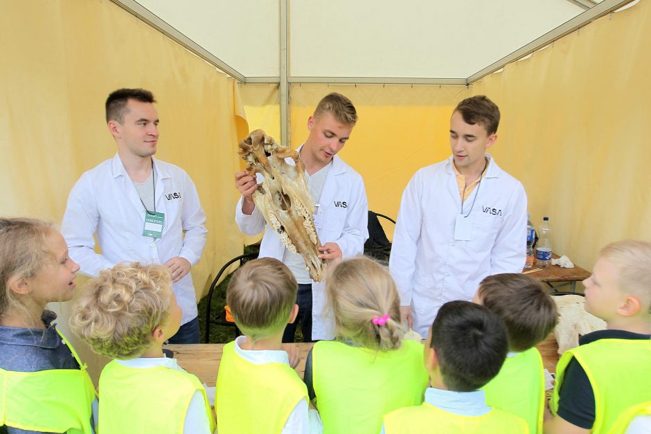 Mokslo festivalyje – rekordinis lankytojų skaičius