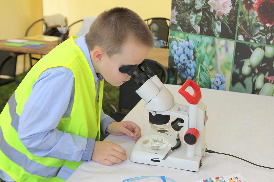 Mokslo festivalyje – rekordinis lankytojų skaičius