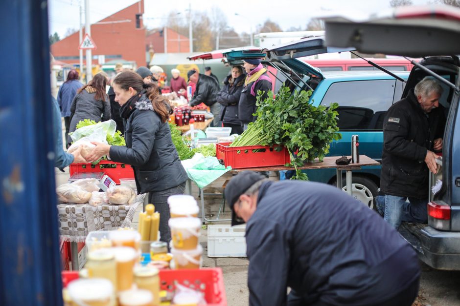 Po juodo darbo emigracijoje – sėkmingas verslas gimtinėje