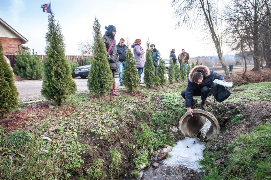 Kaimynų pykčiai į teismus įtraukė net seniūnę