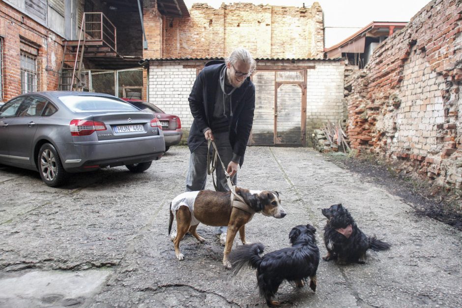 Kauniečiai duris atveria nuskriaustiems keturkojams