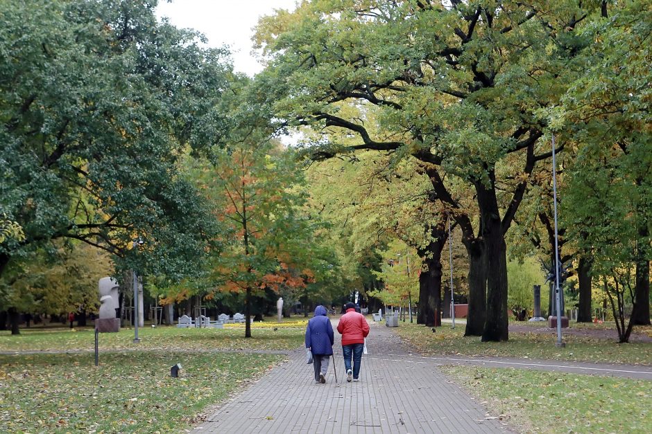 Rengiamasi sutvarkyti Skulptūrų parką