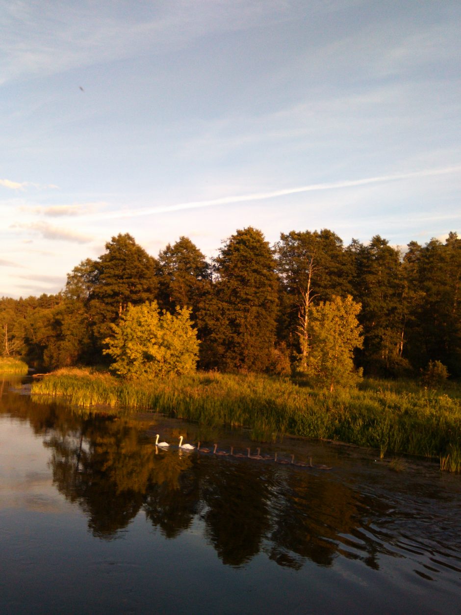 Vasara Lietuvoje: TOP 5 baidarių maršrutai