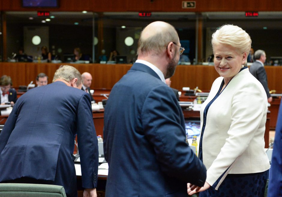 D. Grybauskaitė – už ginklų embargą Rusijai