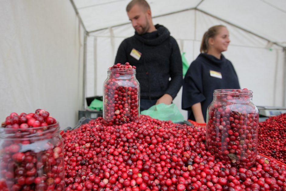 „Sprendimų ratas“ sukasi jau aštuntą kartą 