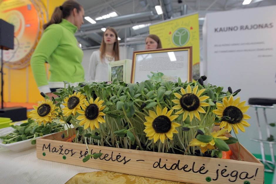 „Sprendimų ratas“ sukasi jau aštuntą kartą 